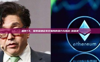 深市TA，探索深圳证券交易所的潜力与挑战-渗湿汤