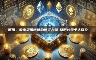 聚币，数字货币市场的新兴力量-聚币刘元个人简介