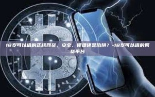 18岁可以借的正规网贷，安全、便捷还是陷阱？-18岁可以借的网贷平台