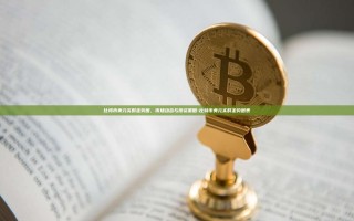比特币美元实时走势图，市场动态与投资策略-比特币美元实时走势图表