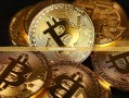 在GC抖动的时候还要继续么？-