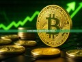 比特币汇率的波动与未来趋势-美元兑比特币汇率