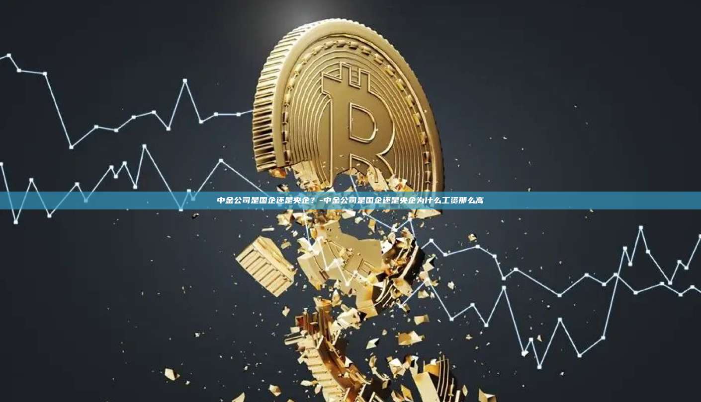 中金公司是国企还是央企？-中金公司是国企还是央企为什么工资那么高-第1张图片-币安官方官网下载
