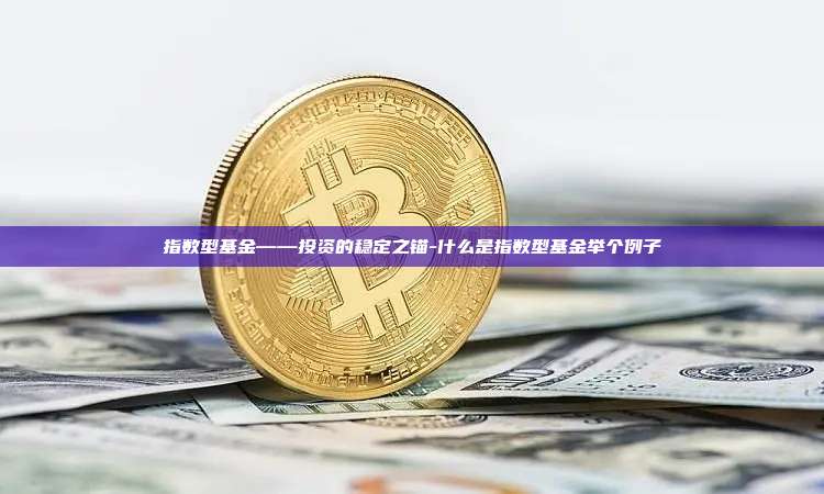 指数型基金——投资的稳定之锚-什么是指数型基金举个例子-第1张图片-币安官方官网下载 指数型基金——投资的稳定之锚-什么是指数型基金举个例子-第1张图片-币安官方官网下载